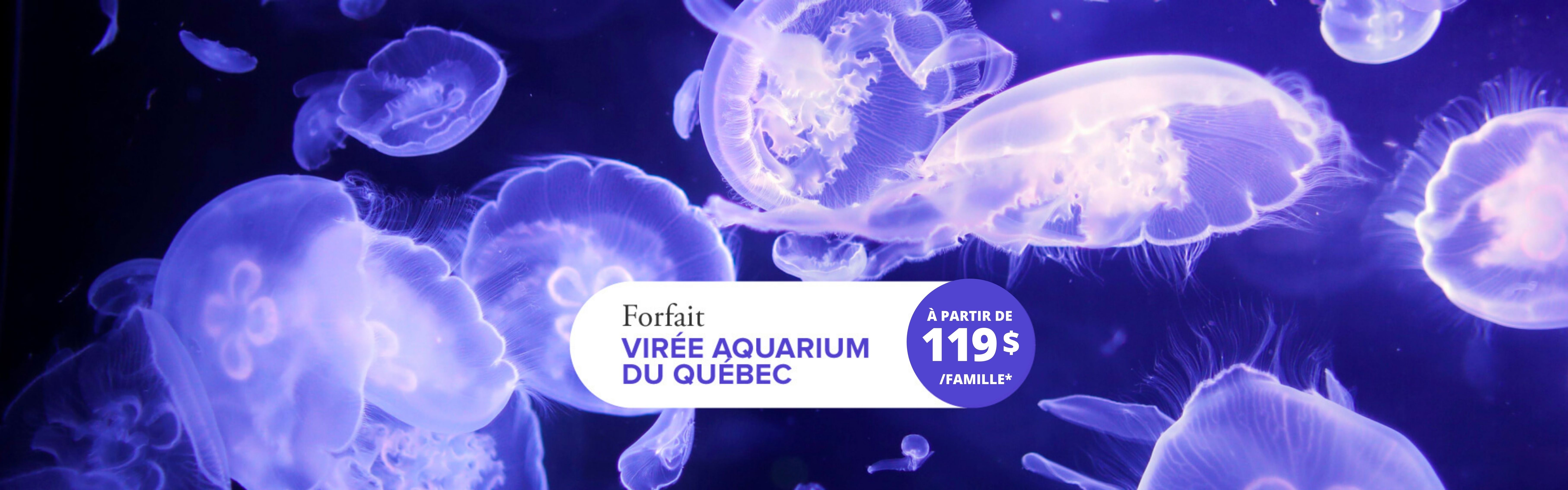 Virée fascinante à l'Aquarium du Québec 